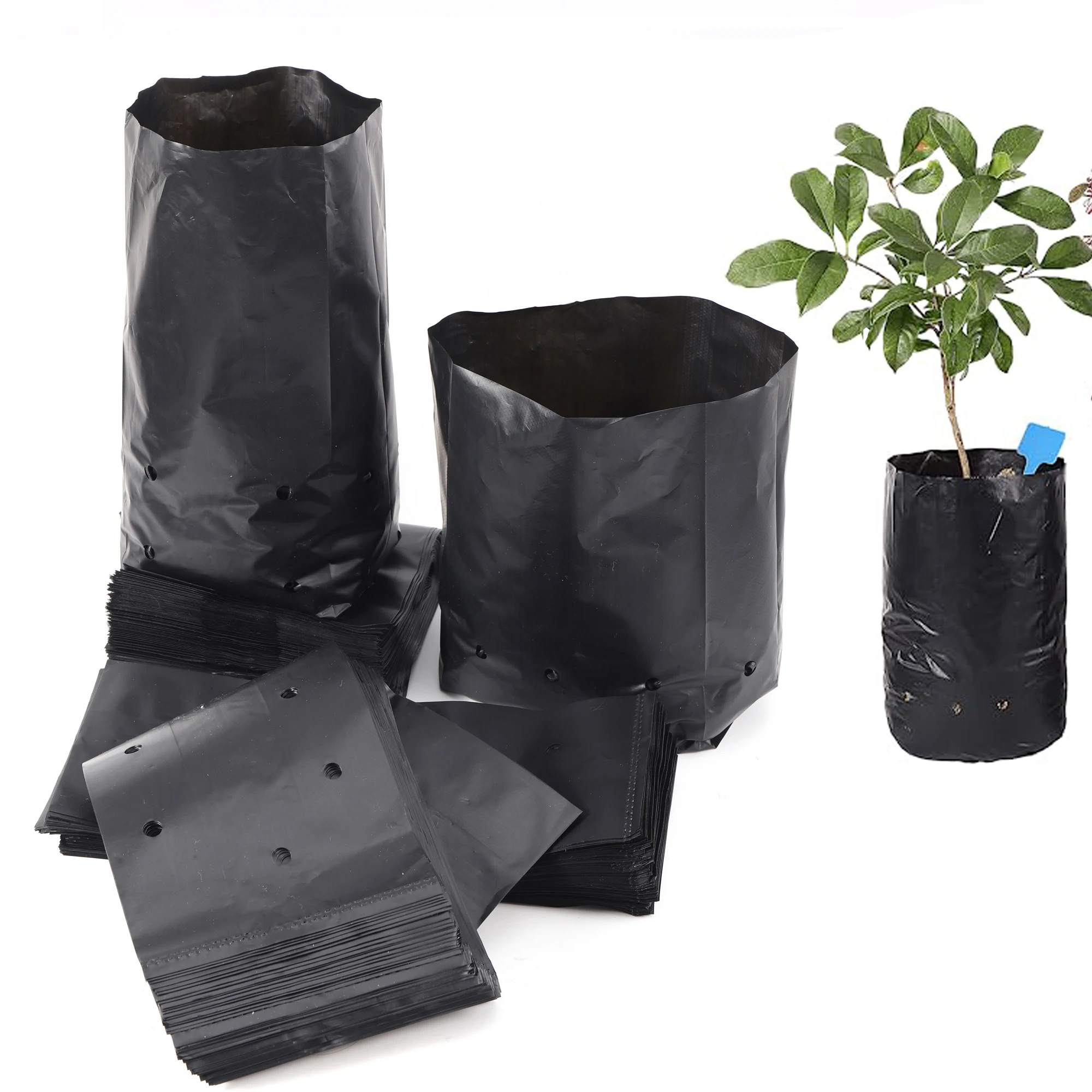 Bolsa de plántulas de Pe para plantas engrosadas de 20 piezas, bolsa de plántulas para jardín verde con agujeros de ventilación, bolsa para plantar bonsái de plantas de árboles frutales