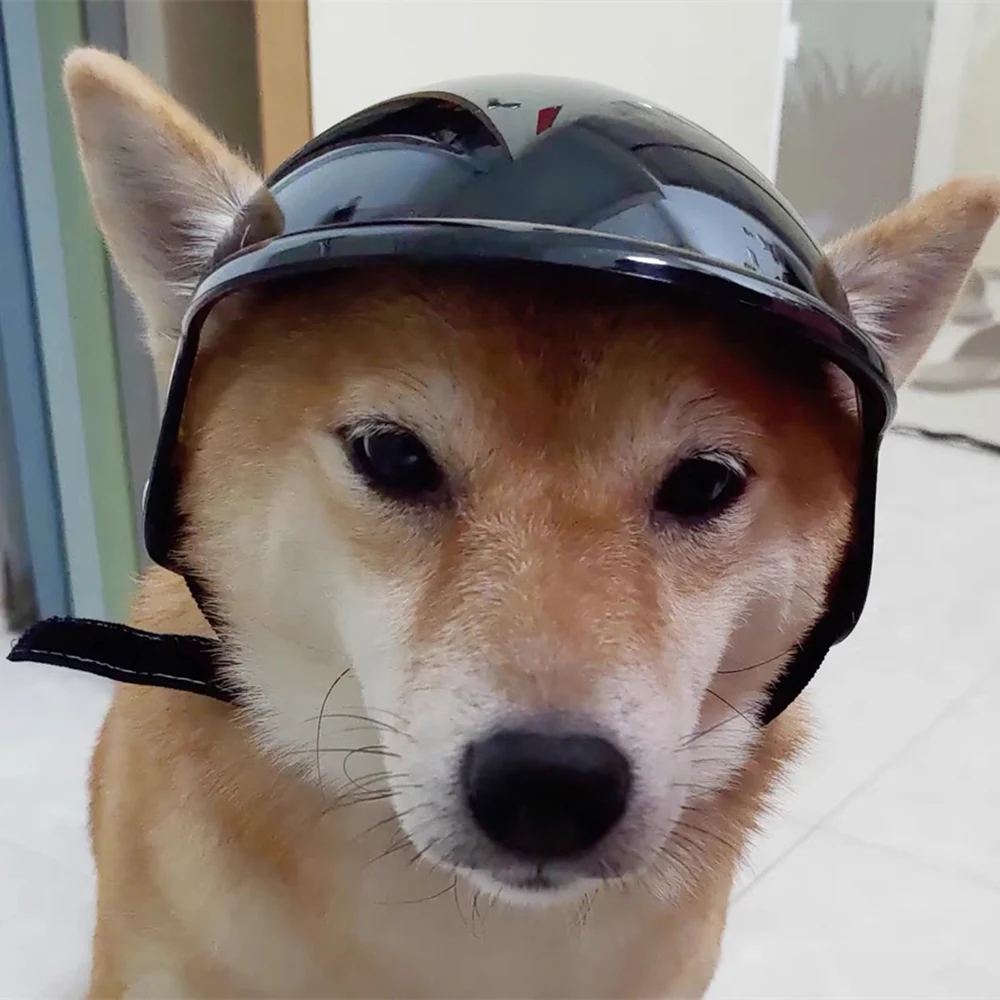 Casco de Motocicleta para Bulldog Francés, Accesorios Elegantes para Perros Pequeños y Medianos, Cachorros, Mascotas, Gorro, Accesorio para la Cabeza