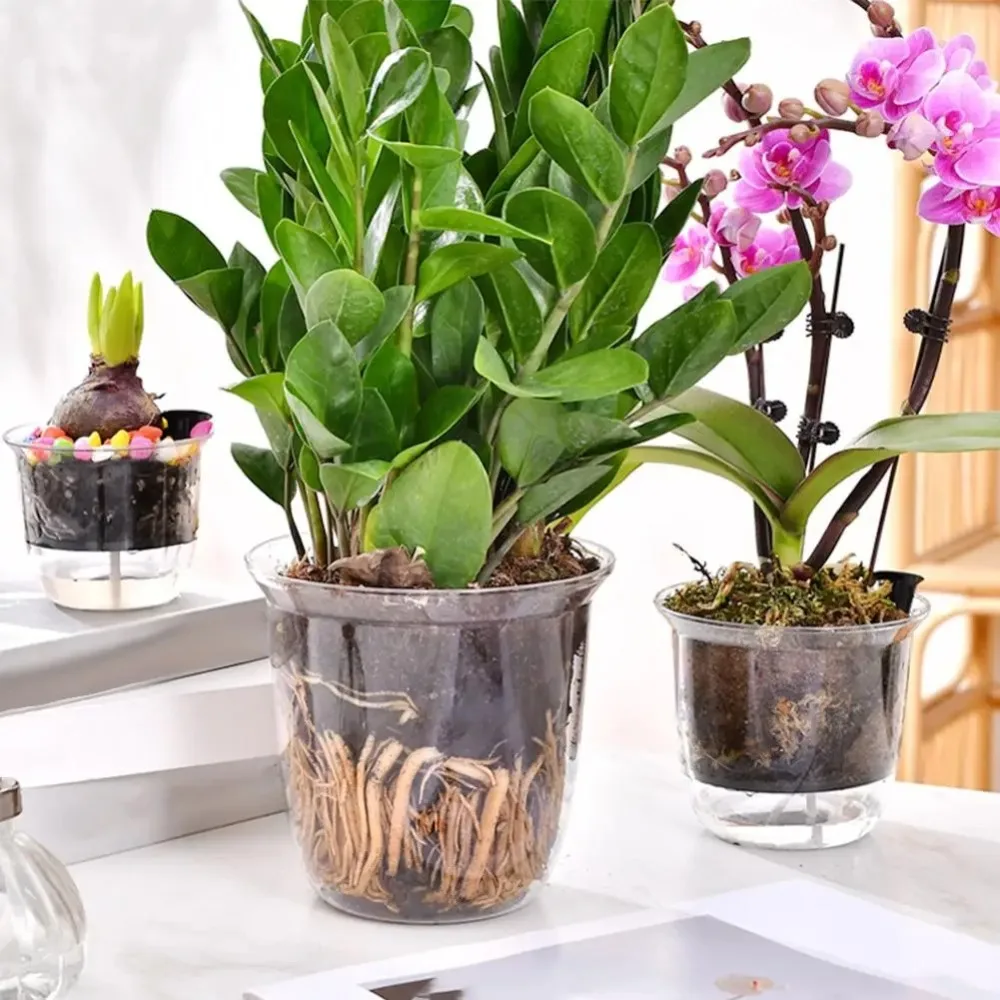 Maceta de plástico de doble capa para plantas, maceta de autorriego transparente con absorción de agua automática, 1 Uds.