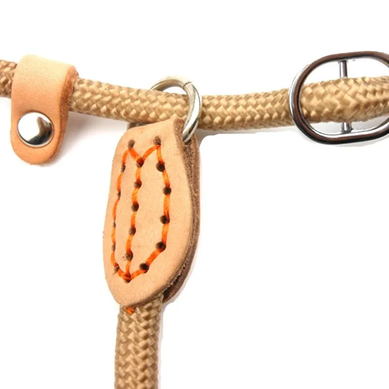 Correa antideslizante para perro, correa de plomo de alta resistencia, trenzada, Collar de lazo ajustable, correas de entrenamiento para perros medianos y grandes