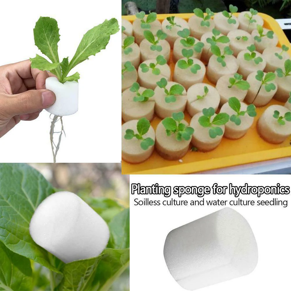 50 Uds. Taza de red para plantas y 50 Uds. De esponja cilíndrica para orquídeas hidropónicas, vasos de red de plástico resistentes a los rayos UV para iniciación de plantas