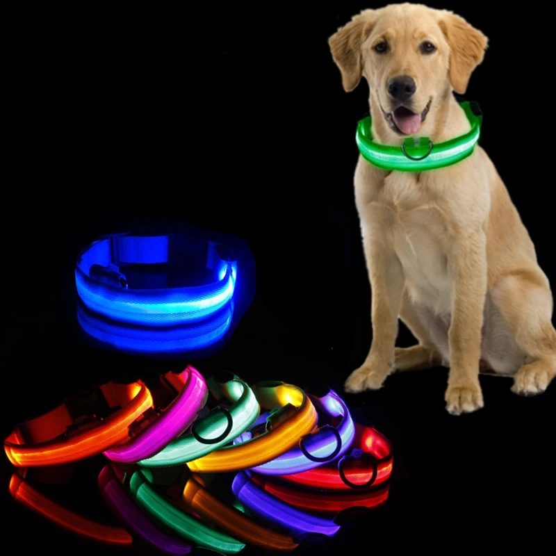 Collar Led para perro, Collar antipérdida para perros, cachorros, suministros luminosos nocturnos, productos para mascotas, accesorios, carga USB/batería