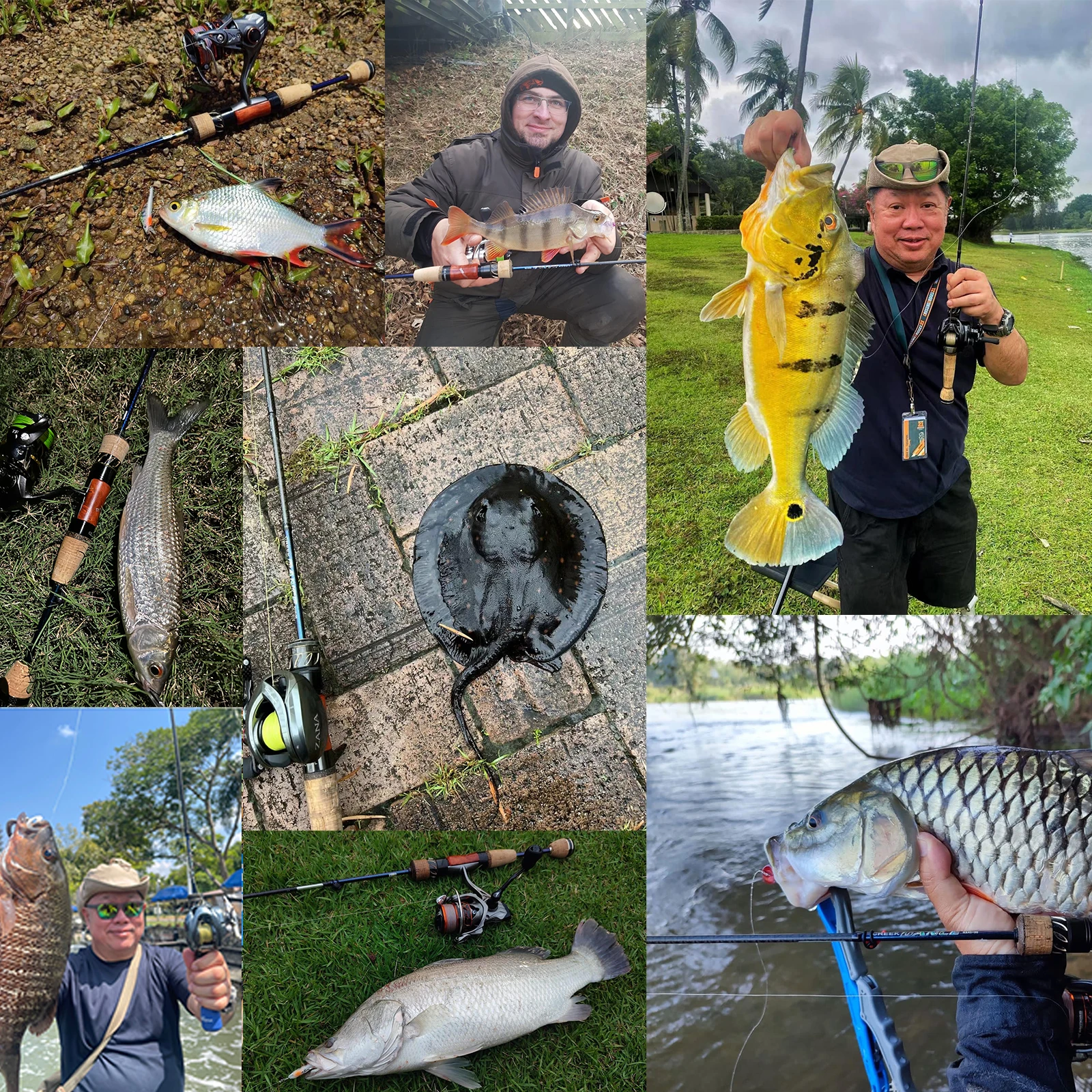 PURELURE CREEK DANCE caña de trucha BFS fundición de pesca UL caña de viaje ligera giratoria varilla de eyección de corriente Fuji Alconite anillo perca
