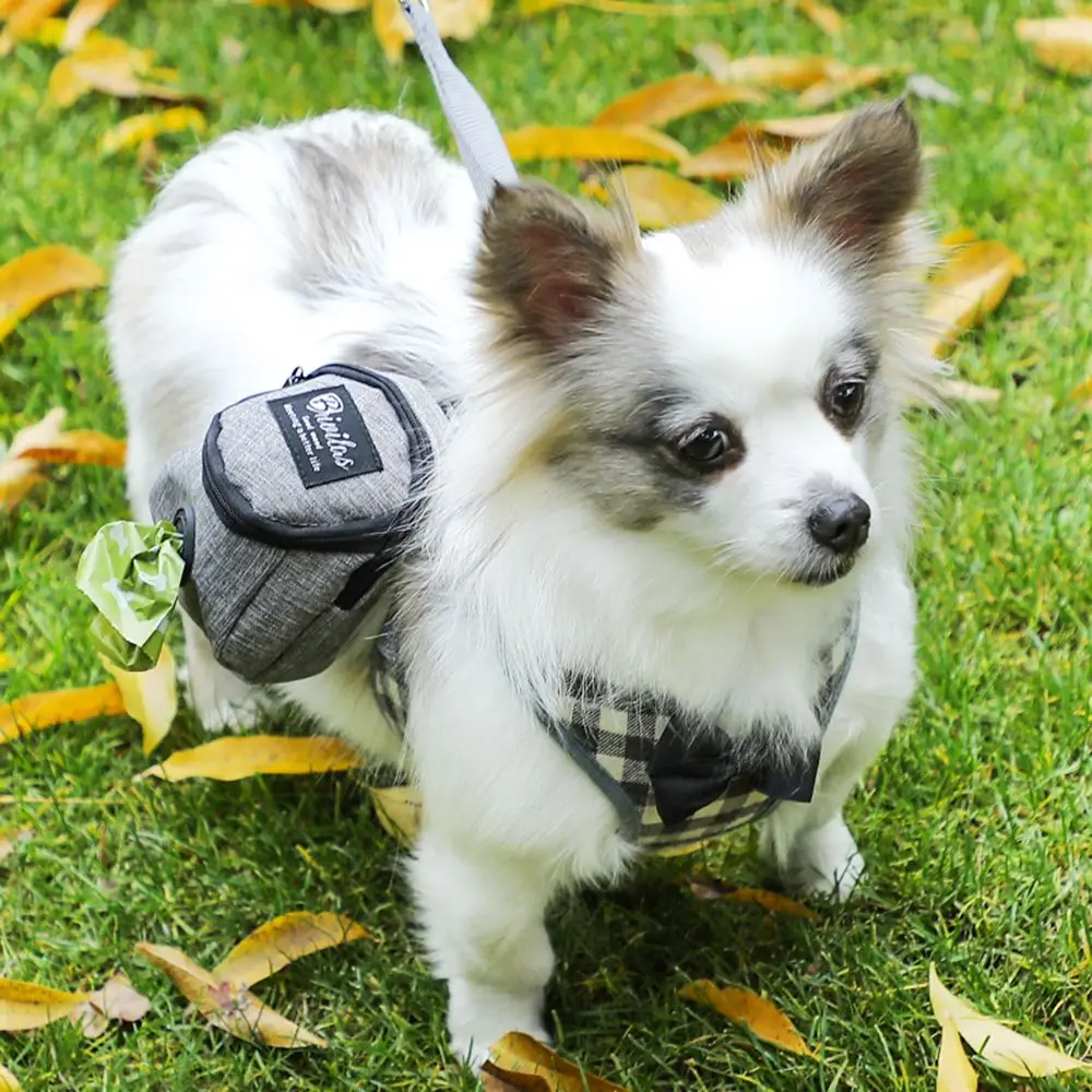Bolsa portátil multifunción para adiestramiento de perros, dispensador de bolsas de viaje para caca de perro, accesorios duraderos para mascotas