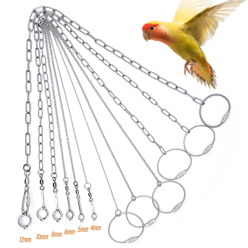 Cadena para pie de loro y pájaro, anillo para tobillo y pie de acero inoxidable, cadena de soporte para entrenamiento de vuelo al aire libre, accesorios para pájaros y palomas