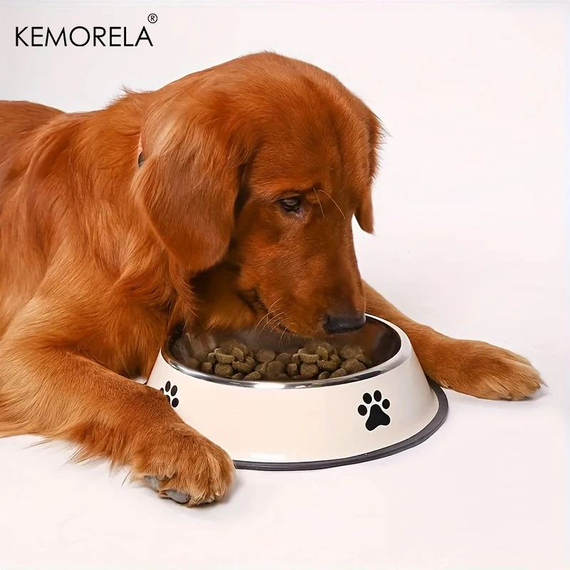 Cuenco de acero inoxidable para perros, contenedor de almacenamiento de alimentos, cuenco de comida para perros, botella de agua, plato alimentador para perros pequeños y grandes y gatos
