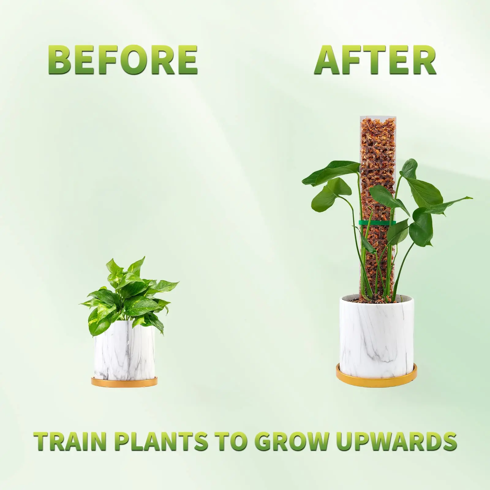 Postes de musgo, soporte para plantas, plástico transparente, reutilizable, palos en macetas para interiores, tren, planta trepadora para crecer hacia arriba para jardín