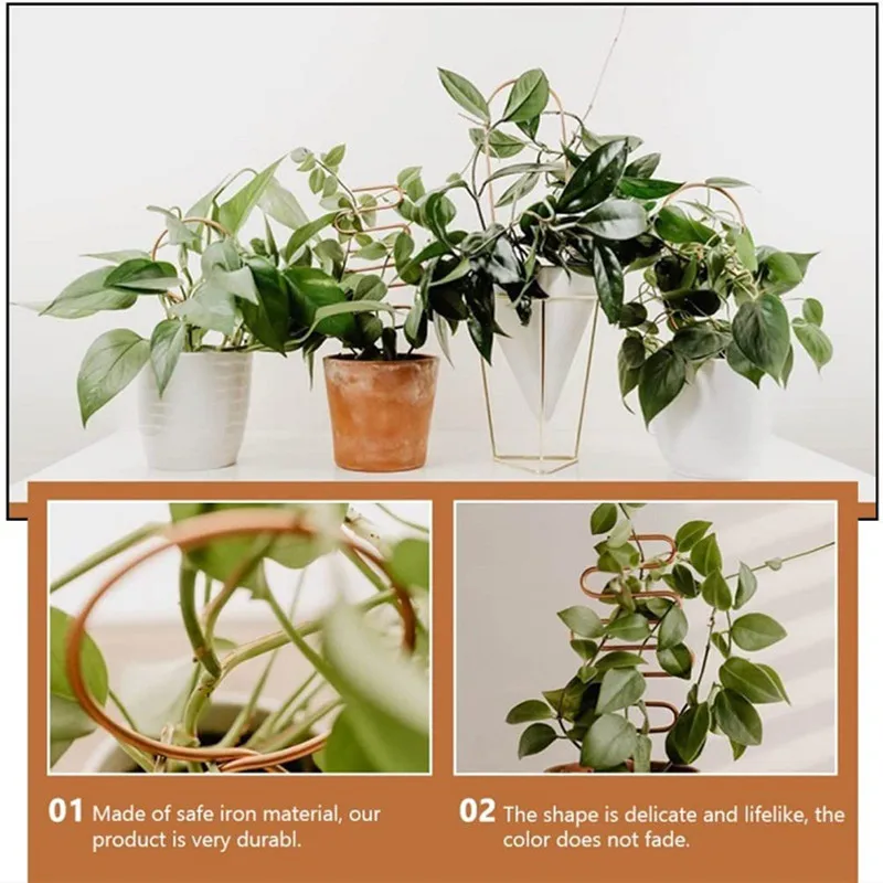 Estante trepador de plantas, enrejado de plantas, soporte para plantas de jardín, soporte de estaca, crecimiento de vid de Metal, estante trepador de flores de ratán, suministros de jardín