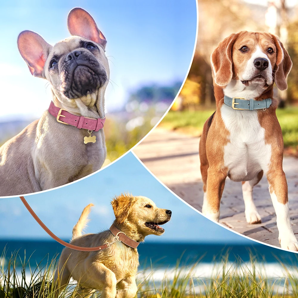 Collar de cuero para perros, collares duraderos para perros, Collar Pitbull acolchado suave para mascotas, ajustable para perros pequeños, medianos y grandes, productos para mascotas Pug