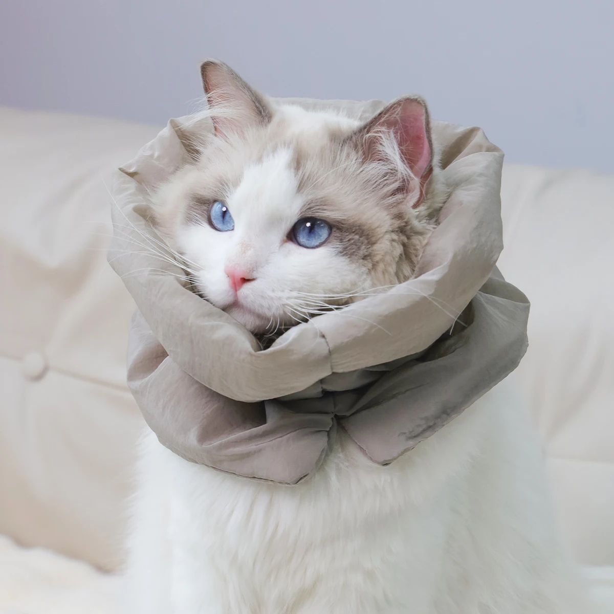 Un cuello cálido para mascotas colorido y moderno y bufanda impermeable para gatos para evitar que lamer y morder después de la esterilización