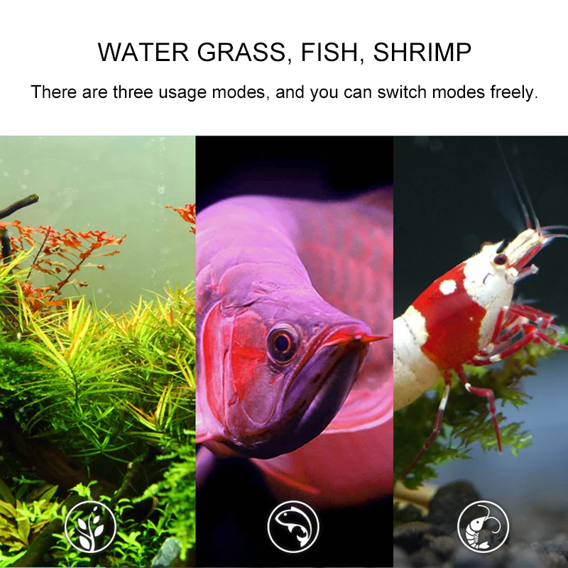 Removedor de algas para acuario, herramienta de limpieza de tanques de peces, desinfección, esterilización, accesorios antialgas para plantas, césped y camarones