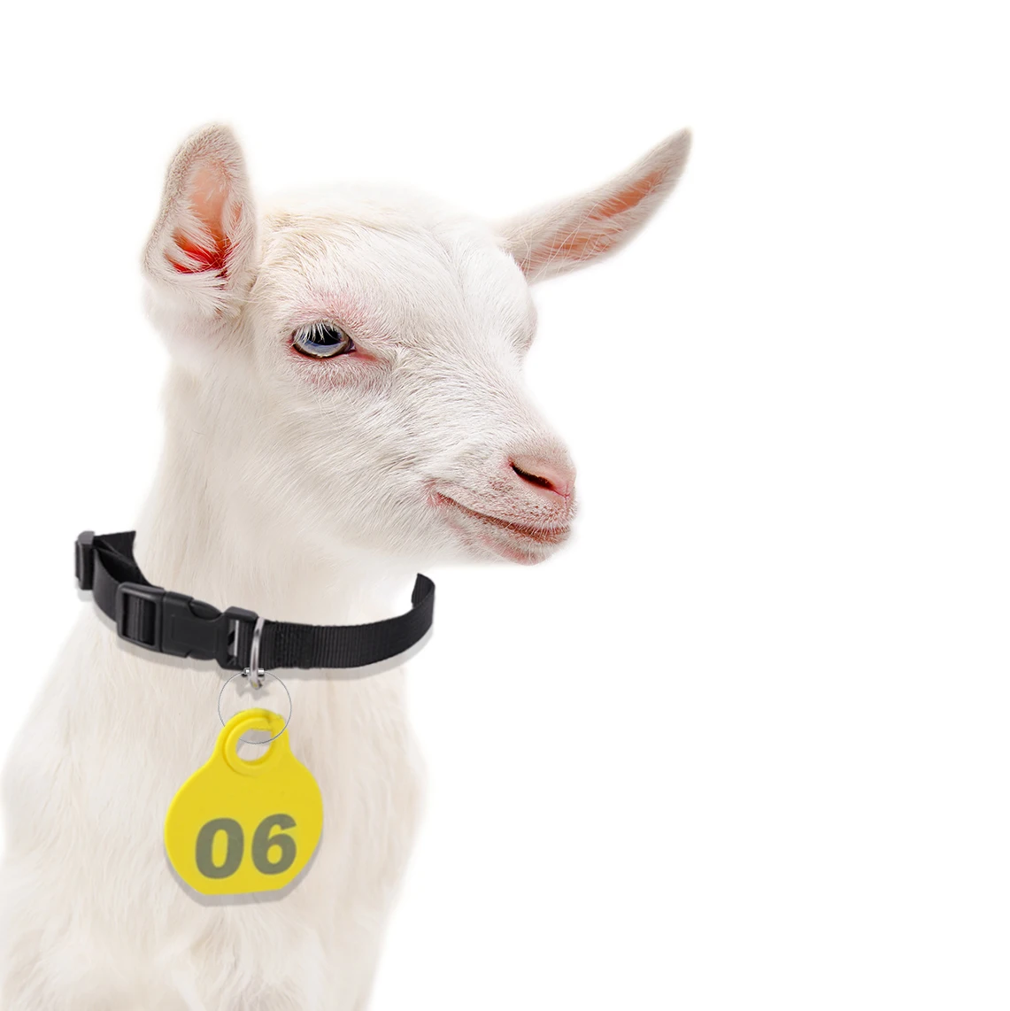 Collar de nailon ajustable para ganado de mascotas, etiqueta colgante con número de serie de doble cara para ganado de granja, animales, cabras, ovejas, 28 Uds.