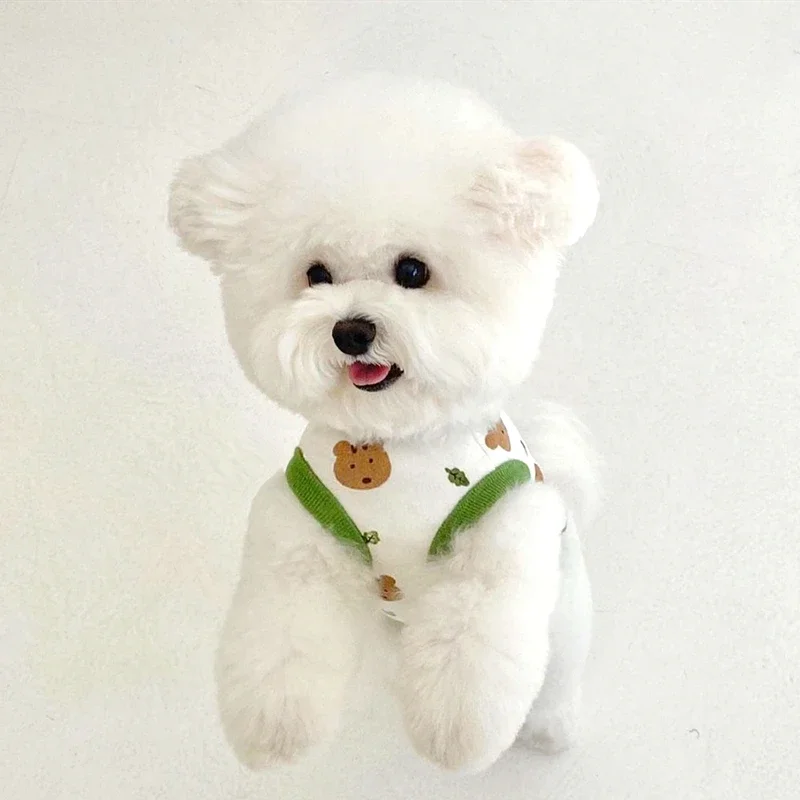 Ropa para perros, chaleco de verano para cachorros, jersey fino de Pomerania, camiseta con estampado de oso, ropa de dibujos animados de peluche, productos para perros XS-XL