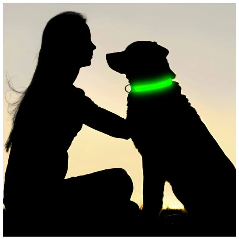 Collar de carga luminosa para perros de 3 modos, collares Led Usb para perros y gatos, Collar de prevención de pérdida de perro con brillo Led nocturno desmontable, accesorios para mascotas