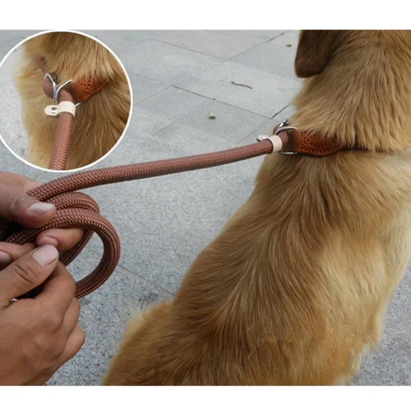 Correa para caminar para perros, cuerda antideslizante, correa de plomo, cuerda trenzada resistente, Collar de bucle ajustable, correas de entrenamiento para perros grandes