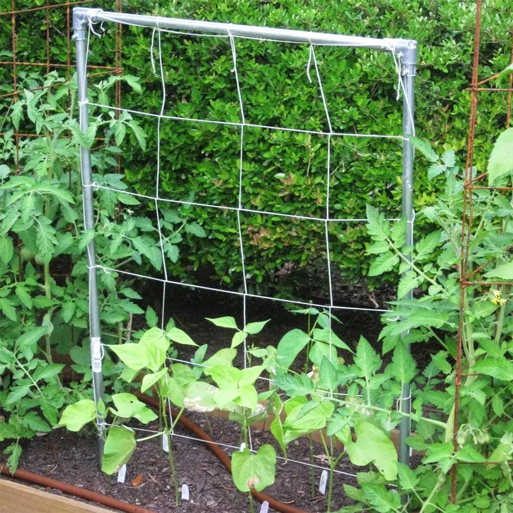 Red enrejada para plantas de jardín, malla cuadrada para plantas trepadoras al aire libre, frutas, verduras, vides, tiendas de cultivo