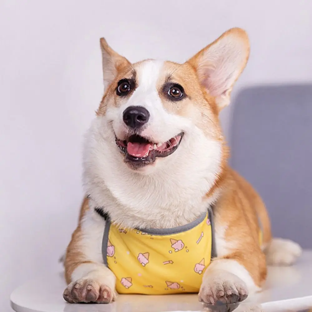 Ropa de protección del vientre para perros Korji, babero impermeable y cálido para mascotas, bolsillo para el vientre para perros de verano