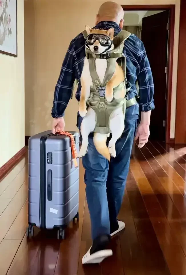 Bolsa para mascotas en el pecho que envuelve la mochila grande para perros, conveniente para llevar al salir, nuevo producto