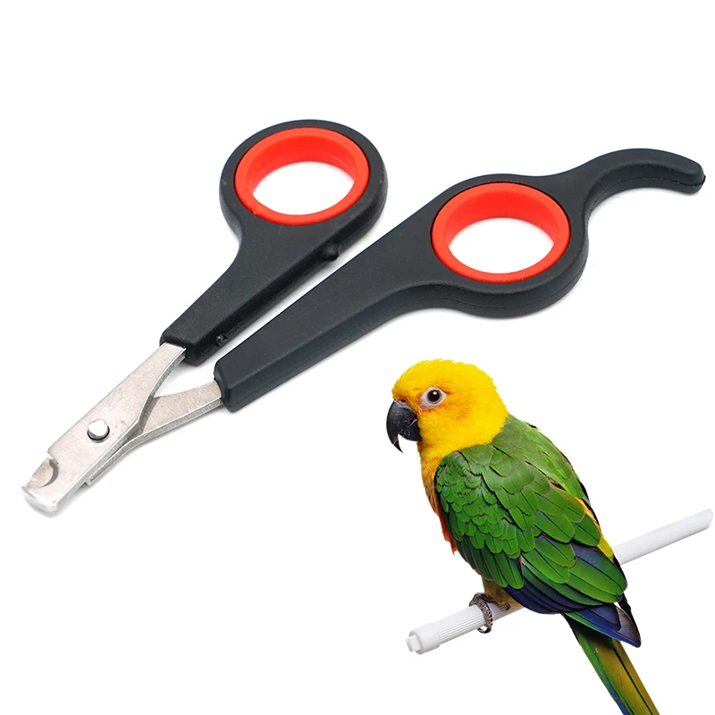Pet pájaro loro animales pequeños accesorio herramienta de aseo tijeras para uñas cortaúñas negro y rojo