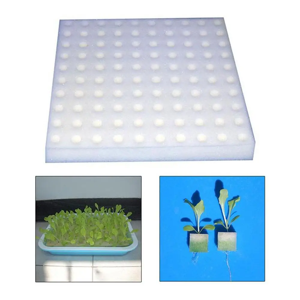 Esponja para plantas hidropónicas, 100 agujeros/hoja, cultivo de jardín, plántulas, cultivo sin suelo, herramientas para plantar verduras, bandeja para macetas de vivero