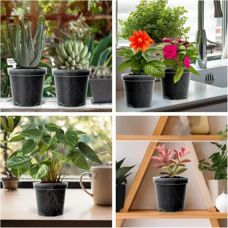 Maceta redonda para jardín y hogar, contenedor de orquídeas para vivero, contenedor de orquídeas transparente, maceta de inicio redonda, 5 uds.