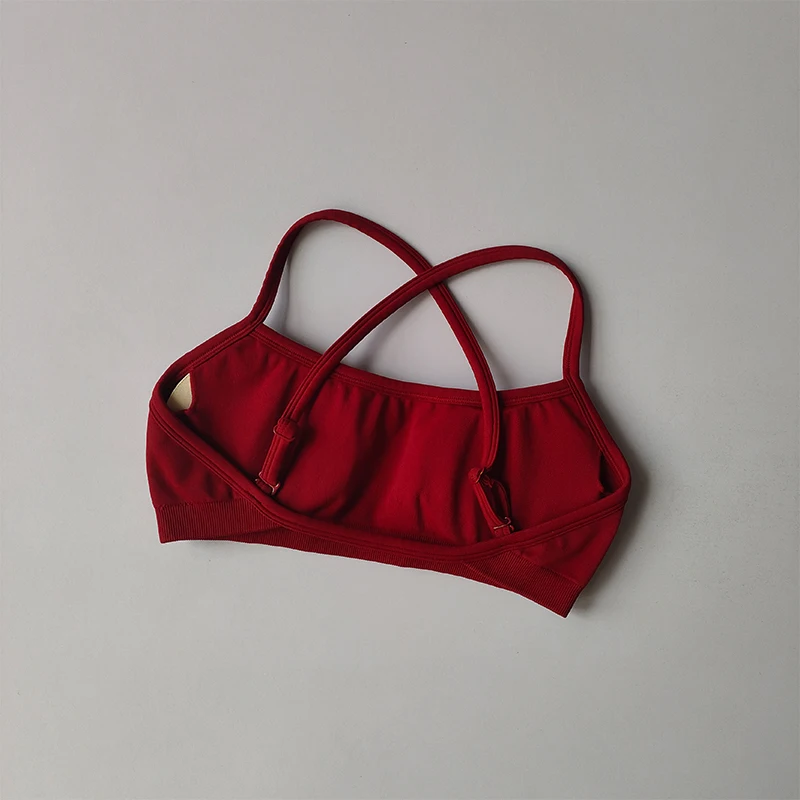 Sujetadores deportivos sin costuras para mujer, Top corto de tubo para Yoga, traje de entrenamiento para Fitness, a prueba de golpes y parte de atrás bonita