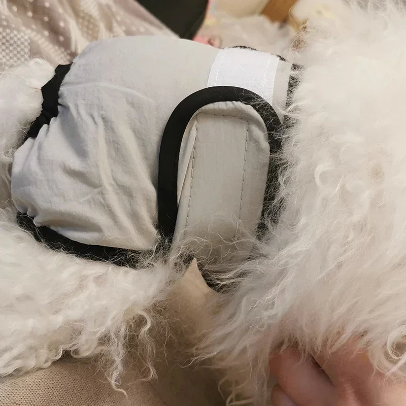 Bragas sanitarias reutilizables para mascotas,pañales lavables para perros macho pequeños,pantalones fisiológicos grandes,pañales para gatos,menstruación de mascotas