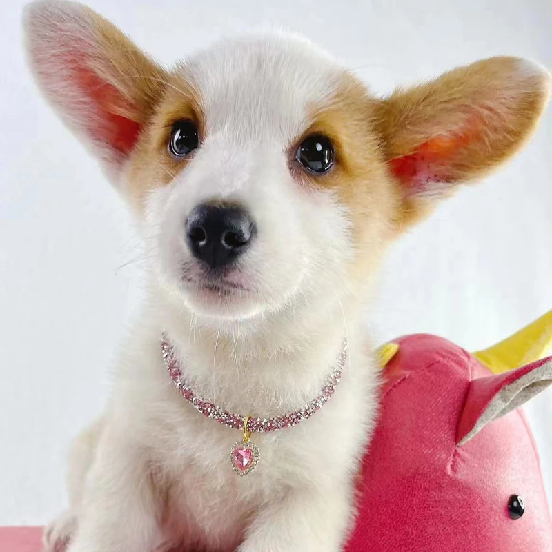 Collar ajustable para mascotas, Collar de perro y gato con colgante de corazón de circonita de diamante, joyería de lujo, collares de Metal para cachorros, accesorios para perros
