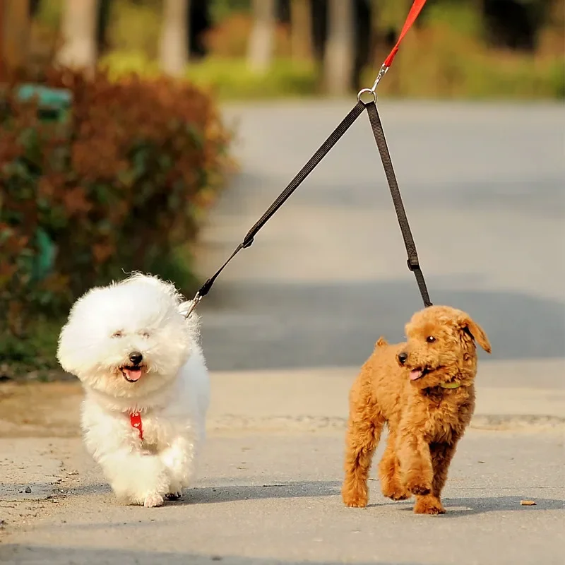 Acoplador de correa para dos perros para caminar al aire libre, correas dobles para caminar, arnés para perros, suministros de accesorios para perros