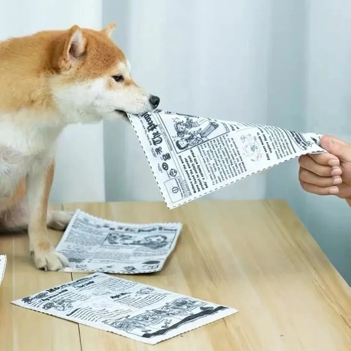 Juguete con sonido de perro a prueba de lágrimas, tarjeta de juego de periódico chirriante simulada, K Q J, resistente a los dientes, Corgi, cachorro de peluche interactivo, 1 ud.