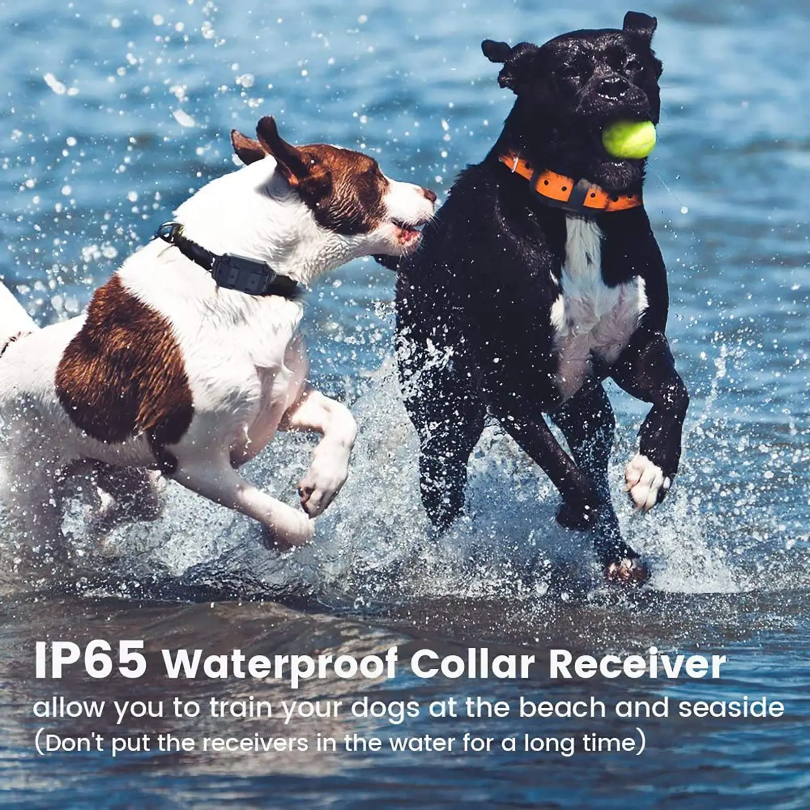 Collar eléctrico de entrenamiento para perros, dispositivo antiladridos recargable con Control remoto, resistente al agua, todos los tamaños