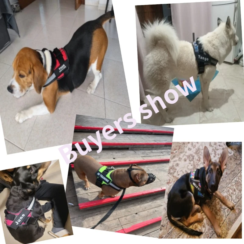 Arnés reflectante ajustable para perro, chaleco personalizado sin tirones para mascotas pequeñas, medianas y grandes, venta al por mayor