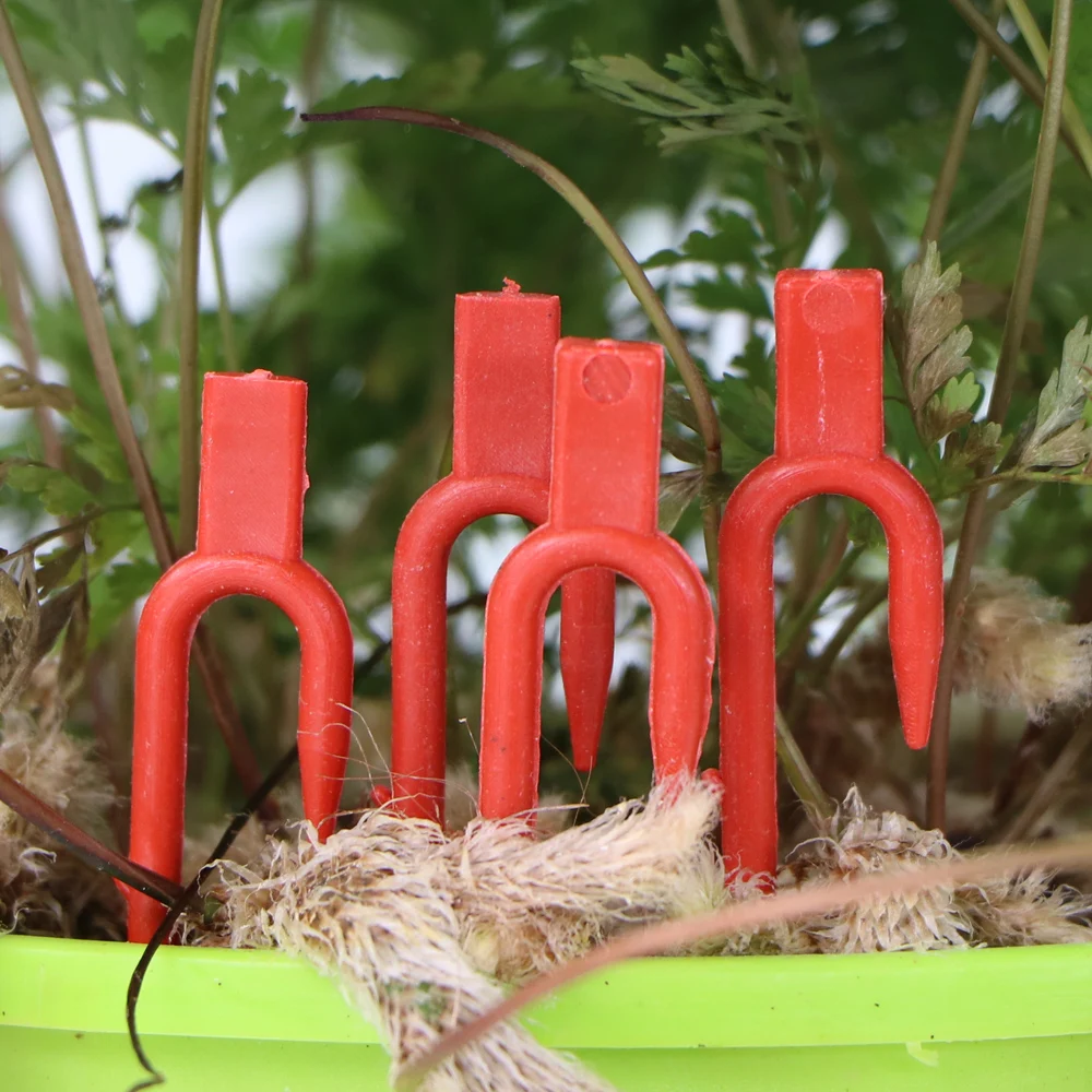 20-50 Uds. Tenedor para plantar fresas, tenedor para cavar, 50mm, 93mm, 108mm, fijador de estolones, dispositivo de prensado de vid, pinzas para vástago trepador de sandía