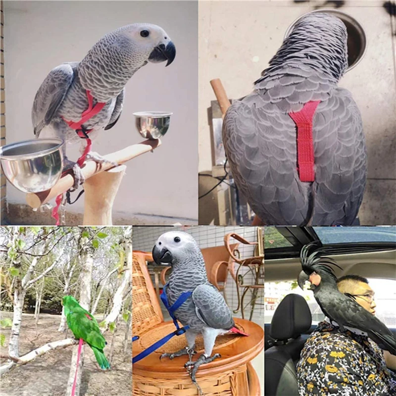 Cuerda de tracción voladora para entrenamiento, cuerda de entrenamiento antimordida, correa para pájaros, cuerda voladora para loros, arnés para loros, correa para pájaros