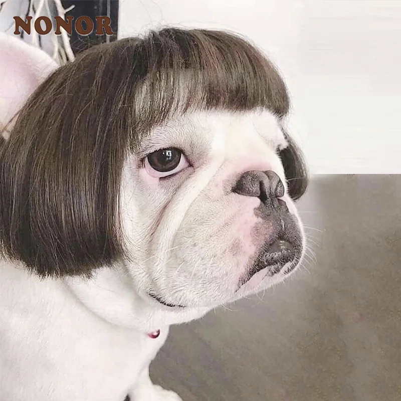 NONOR-pelucas para mascotas, accesorios de Cosplay para perros y gatos divertidos, sombrero de pelo de peluquería cruzada, disfraces, accesorios para la cabeza para Halloowen, suministros de Navidad