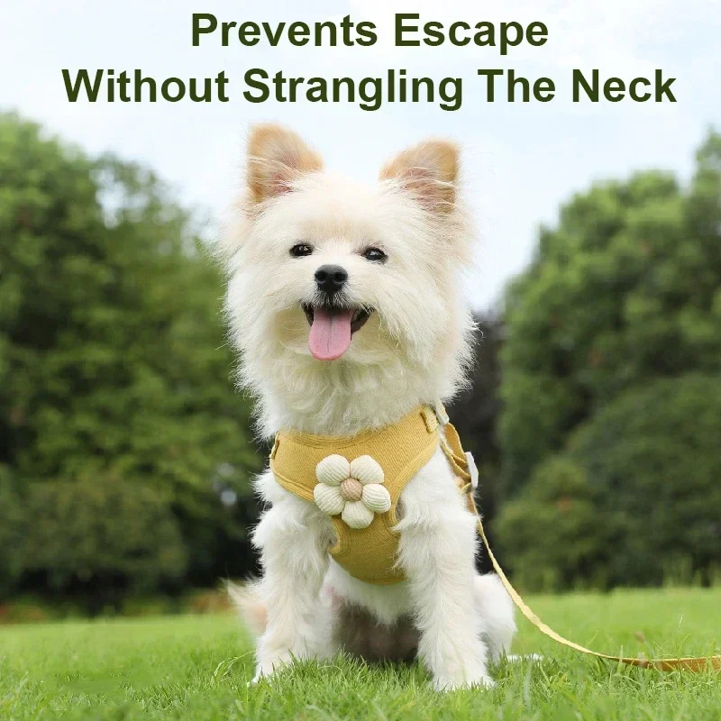 Arnés de Pecho y Espalda para Perros y Gatos con Diseño de Dibujos Animados 3D, Accesorios para Paseo y Protección
