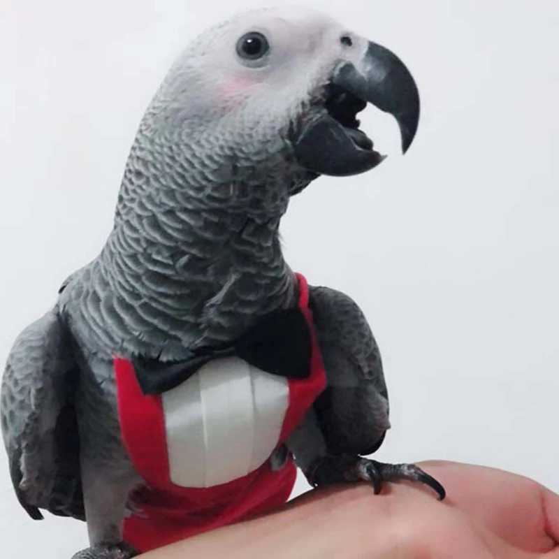 Pañal para pájaros, Suite de vuelo, pañales protectores para loros con capa interior impermeable, bonito traje húmedo para orina