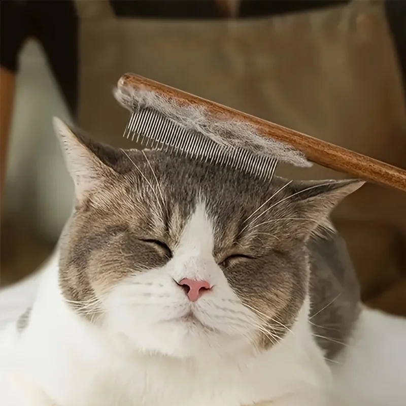 Peine para el cuidado de mascotas para gatos y perros, 3 piezas/1 pieza, dientes de acero inoxidable, mango de madera, adecuado para cabello largo y corto, herramienta duradera para el cuidado de mascotas