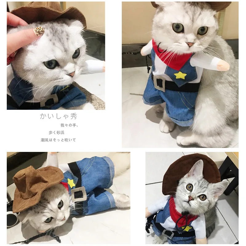 Disfraz divertido de Halloween para perro y gato, ropa de vaquero para mascotas, Disfraces para perros pequeños, accesorios de Cosplay para gatos