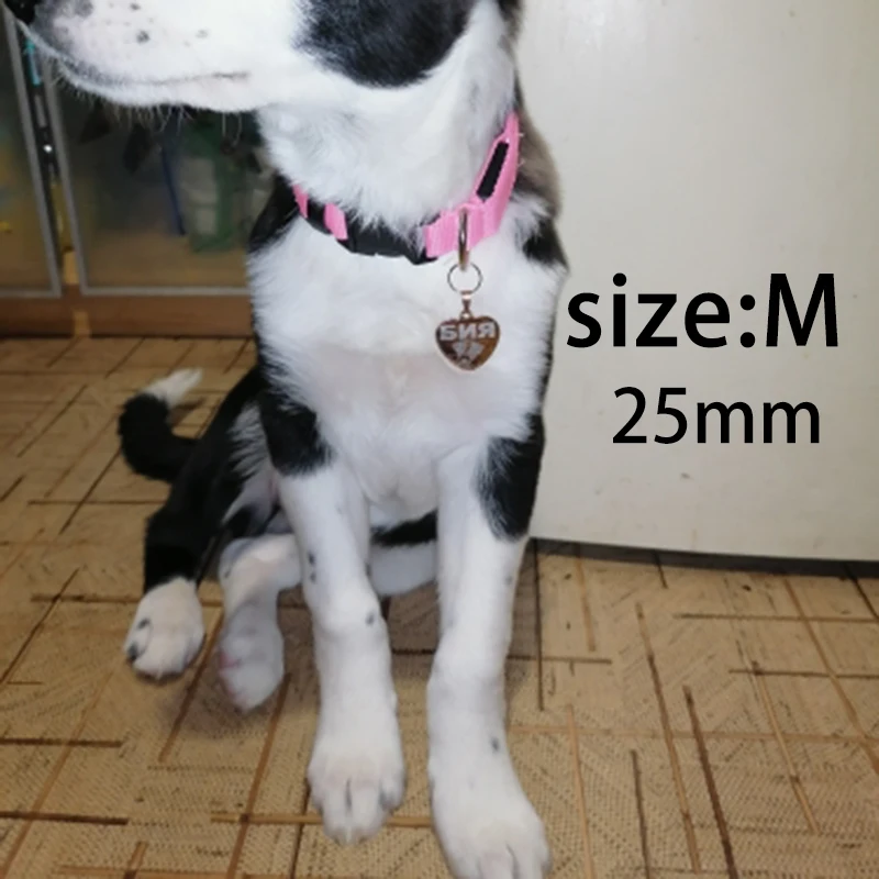 Etiqueta de corazón de identificación de perro, Collar de gato personalizado, colgante grabado, Collar de mascota, cadena, suministros para productos con nombre