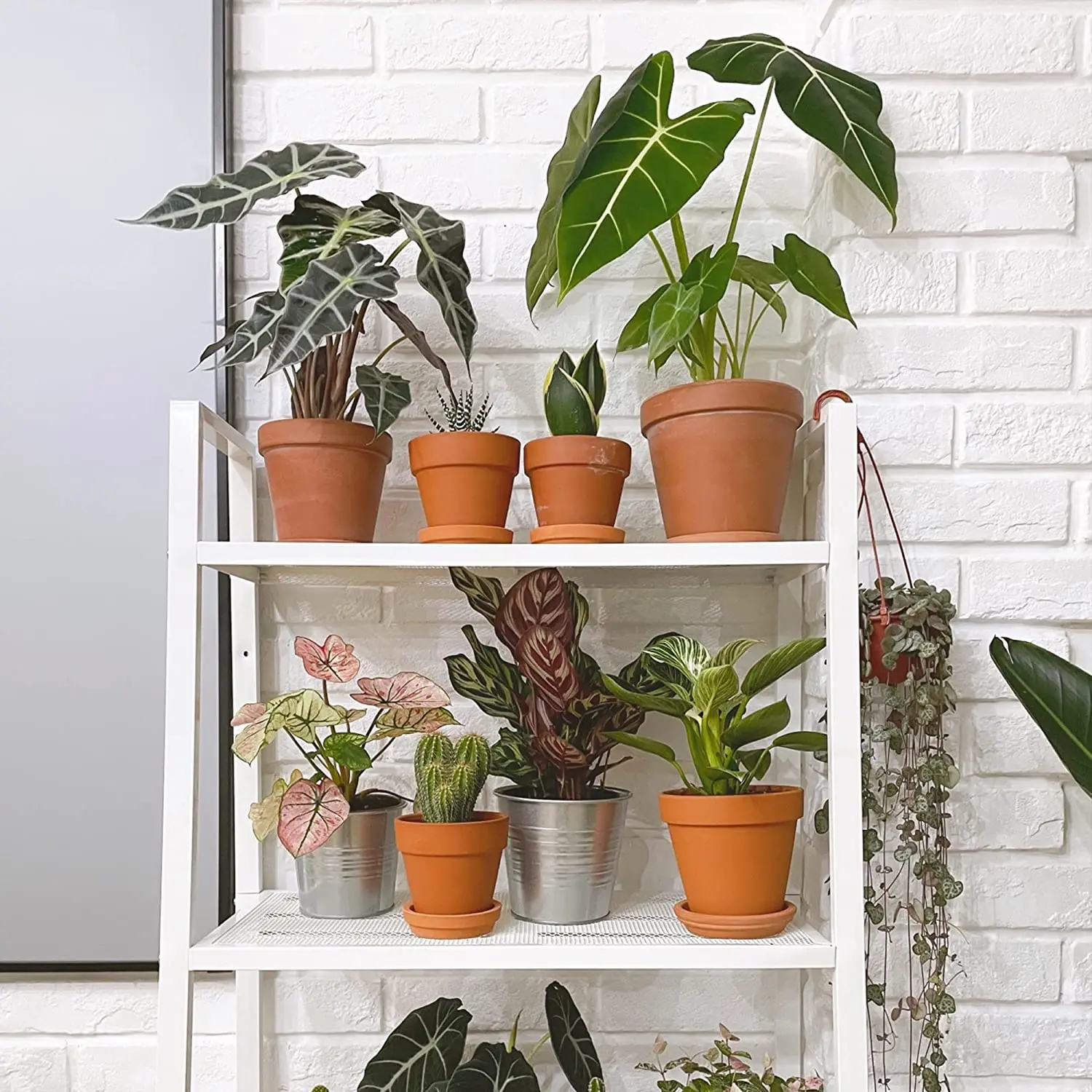 36 Uds Terra Cotta 1,9 pulgadas macetero de cerámica de arcilla macetas de Cactus maceta suculenta con orificio de drenaje-excelente para plantas, manualidades