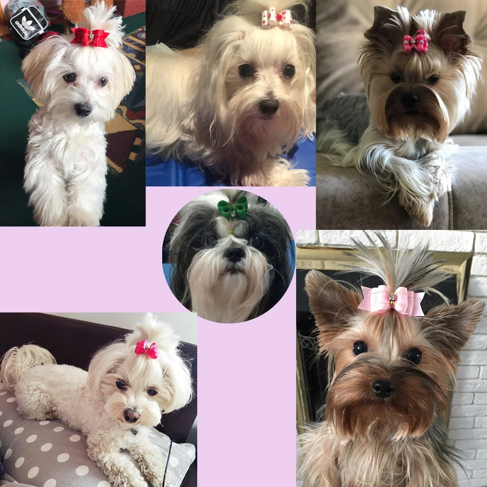 10 unids/lote de lazos pequeños hechos a mano para el pelo para perro, banda de goma, lazo para el pelo de gato, Boutique, accesorios para el cuidado de perros del Día de San Valentín