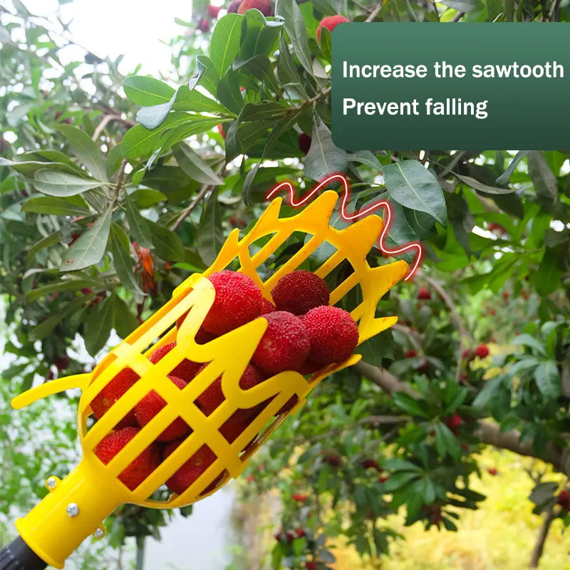 Cesta de jardín, cabezal recolector de frutas, herramienta de selección de frutas de plástico multicolor, suministros para recoger azufaifa Bayberry agrícola, 1 ud.