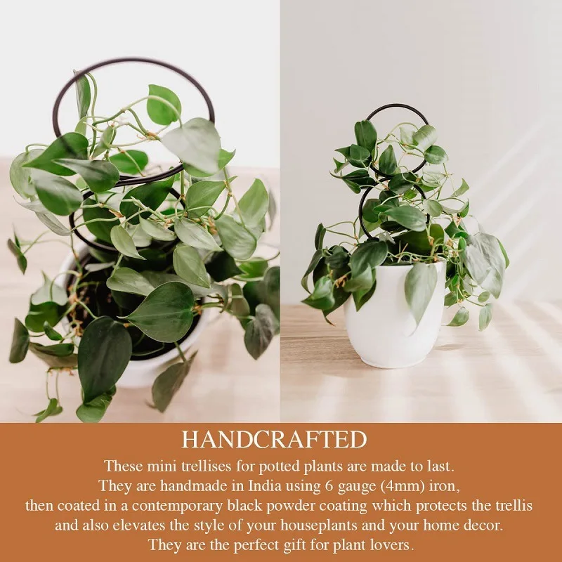Estante trepador de plantas, enrejado de plantas, soporte para plantas de jardín, soporte de estaca, crecimiento de vid de Metal, estante trepador de flores de ratán, suministros de jardín