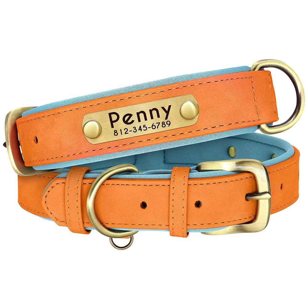Collar de perro acolchado de cuero PU personalizado, placa de identificación personalizada, Collar para mascotas para perros pequeños y medianos, accesorios de collares duraderos