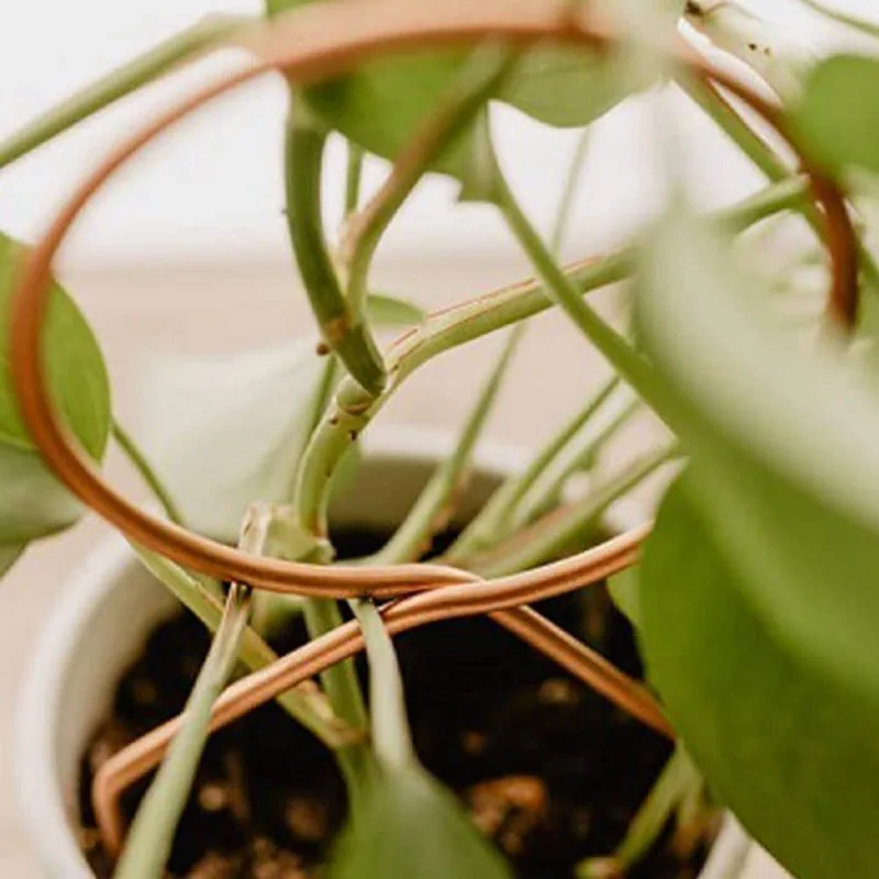 Estante trepador de plantas, enrejado de plantas, soporte para plantas de jardín, soporte de estaca, crecimiento de vid de Metal, estante trepador de flores de ratán, suministros de jardín