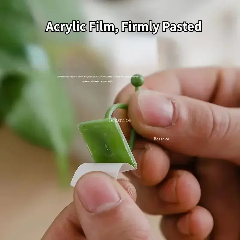 Clips de pared para trepar plantas de 20 piezas, gancho de hebilla de vid, fijador de abrazadera de ratán, Stent de planta autoadhesivo, enredadera Invisible fija para trepar