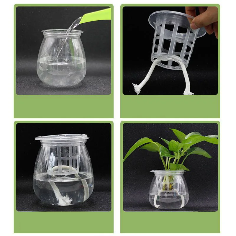 50 Uds. Cesta de red de malla hidropónica sin suelo para cultivo de plantas, taza para vivero, bandeja de esponja, macetero aerópónico para verduras, clonación, colonización q1