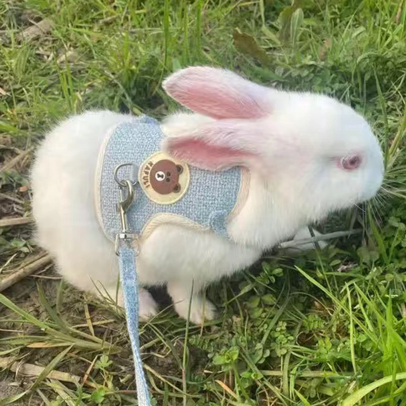 El más nuevo lindo conjunto de arnés y correa de conejo, accesorios para mascotas, chaleco, arneses, correas de conejo para caminar al aire libre, suministros para mascotas