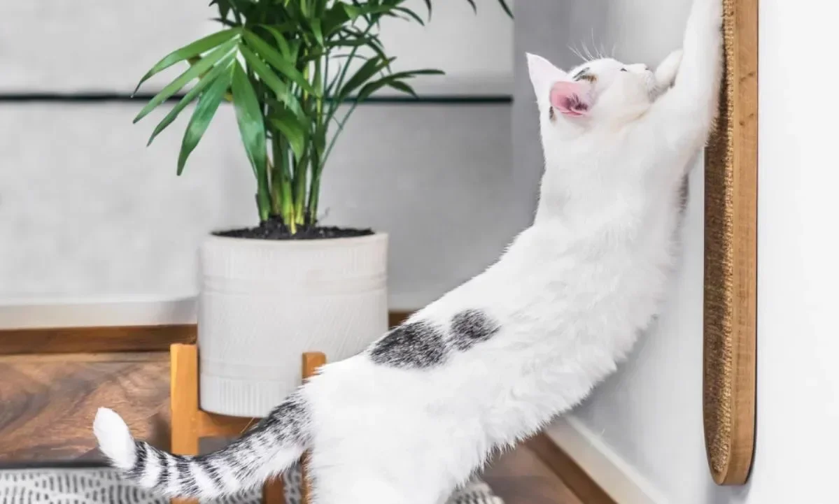 Alfombrilla de Sisal para rascar gatos, poste de garra Vertical para colgar en la pared, resistente al desgaste, no astillado, suministros para gatos